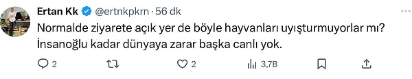 👇