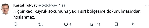👇