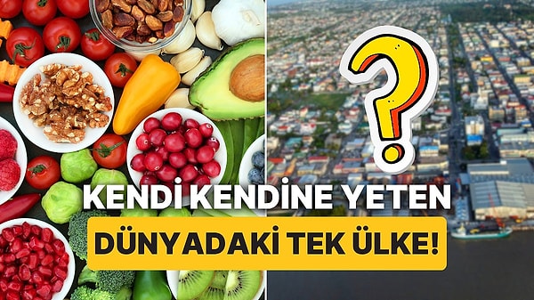 2. Dünyada Sadece Tek Bir Ülkenin İhtiyacı Olan Bütün Gıdayı Ürettiği Ortaya Çıktı! Görseli