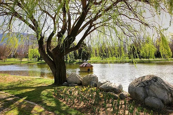 Soganli Botanical Park: An Oasis in the Heart of Nature