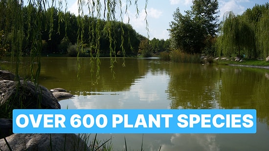 Explore Over 600 Plant Species at Soganli Botanical Park in Bursa