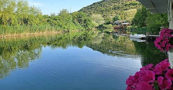 Greenline Guest House