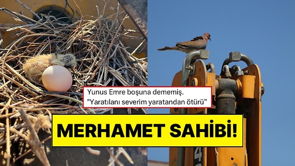 Kapak Görseli