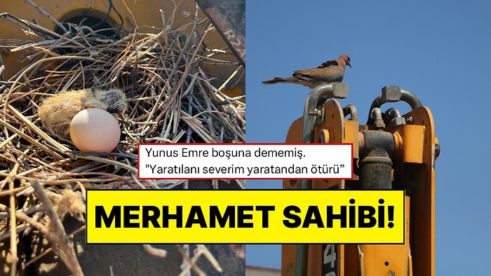 Kepçesine Kuşlar Yuva Yaptığı İçin 23 Gündür Çalışamayan Adam 200 Bin TL Zarar Etti: “Yuvayı Asla Yıkmam”