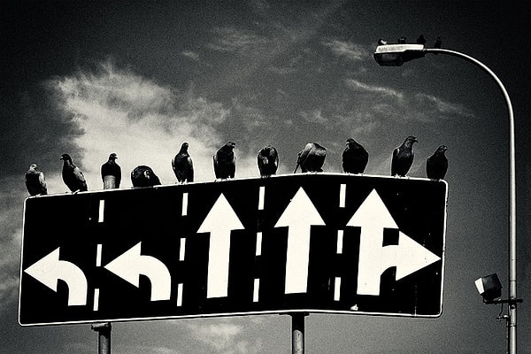 4. Şu anki hayatının ne kadarını kendi seçimlerinle şekillendirdiğini düşünüyorsun?