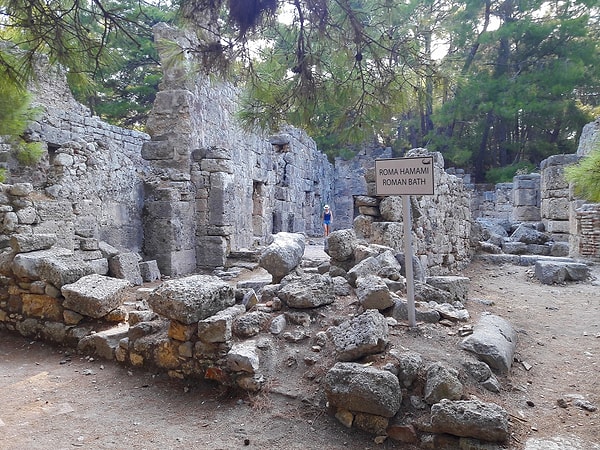 Accommodation Facilities