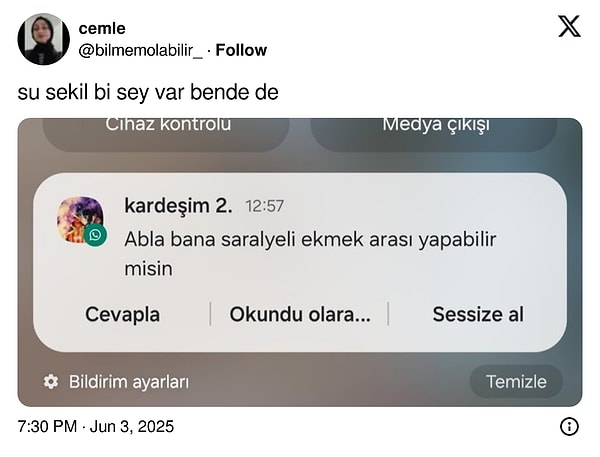 Siz neler düşünüyorsunuz?