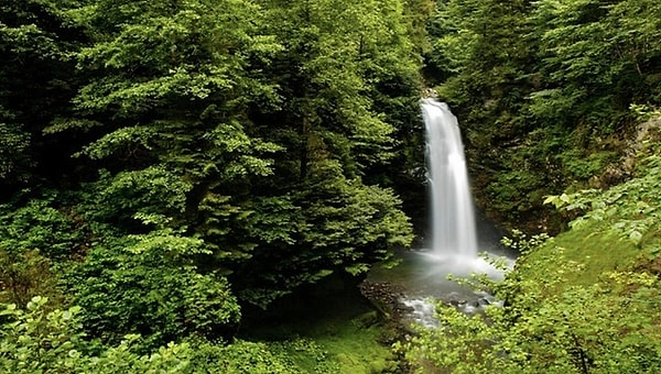 14. Palovit Waterfall – Rize