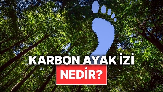 Karbon Ayak İzi Nedir ve Neden Olur? Karbon Ayak İzi Nasıl Hesaplanır?