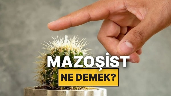 Kapak Görseli