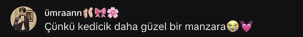 null Görseli