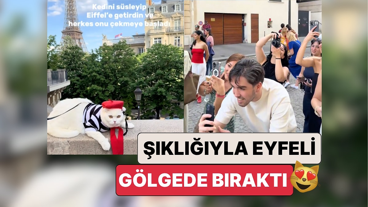 Kedilerimiz Bile Havalı: Paris&apos;te Şıklığıyla Göz Kamaştıran Coco Turistlerin Gözdesi Oldu