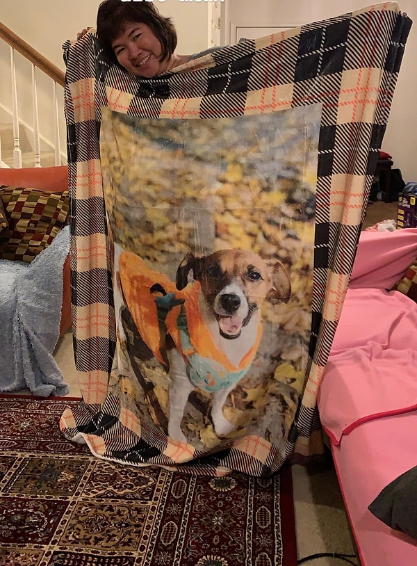 8. "Pişman olacaksınız diyen annem şimdi köpeğimizi battaniyeye bastırmış" 😹