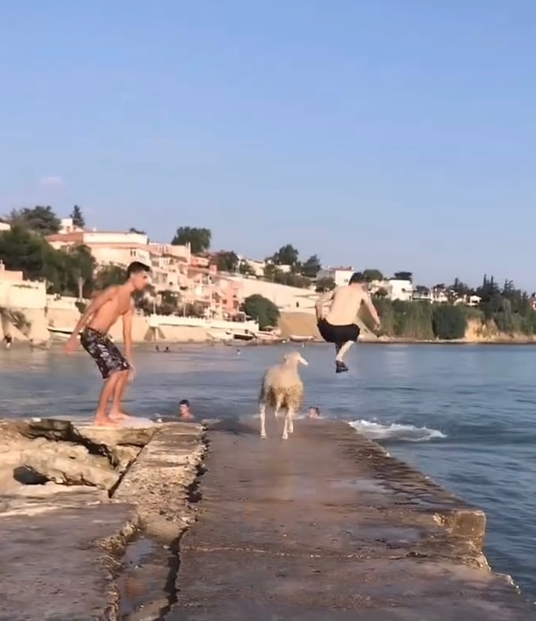 İzleyicilerden kimileri nasıl öğrendiğini sorguladı.