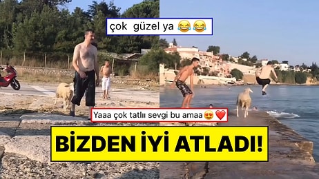 Sahibinin Peşinden Denize Balıklama Atlayan Koyun İzleyenleri Güldürdü