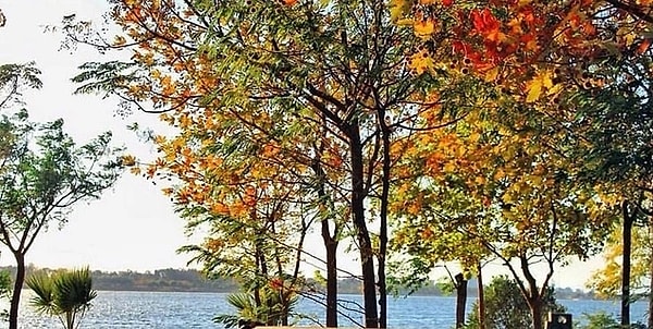 8. Inciraltı Urban Forest