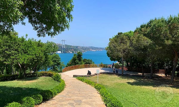 6. Fethipaşa Grove