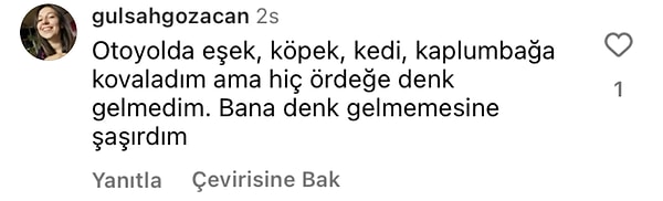 👇