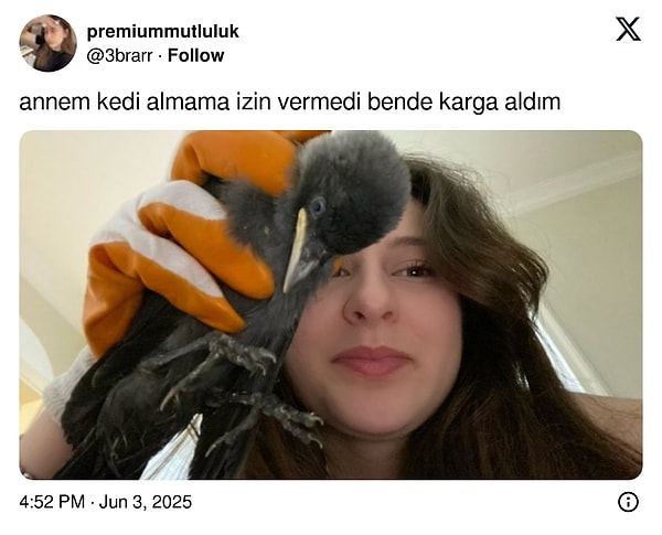 Misilleme mi bu?