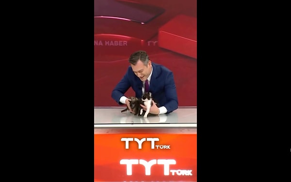Programda, kanalda besledikleri kedinin yavrularının olduğu duyuruldu. Görseli