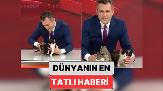Dünyanın En Güzel Haberi: Bir Haber Programında Kanalın Kedisinin Yavruları Sahiplendirildi