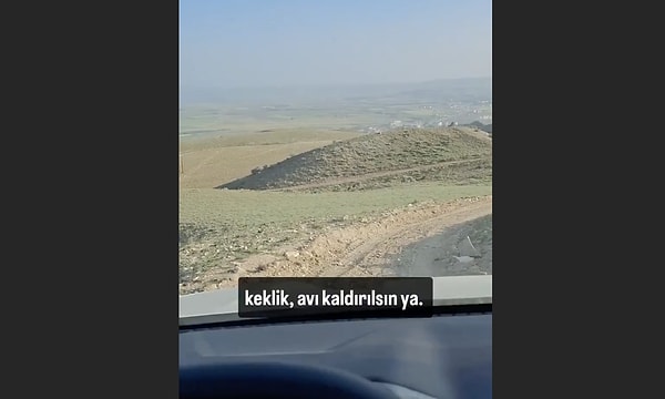 Tavuk, keklik, sülün gibi kanatlı hayvanların sayısındaki azalma, kene popülasyonunun hızla artmasına yol açar.