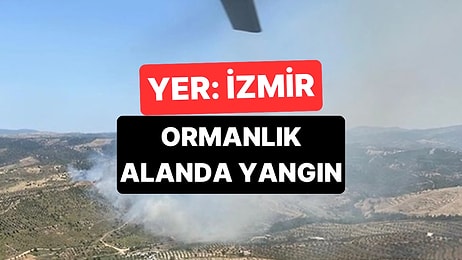 İzmir'de Ormanlık Alanda Yangın Çıktı: Söndürme Çalışmaları Sürüyor