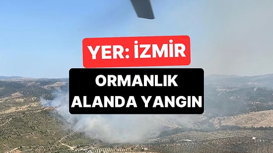 İzmir'de Ormanlık Alanda Yangın Çıktı: Söndürme Çalışmaları Sürüyor