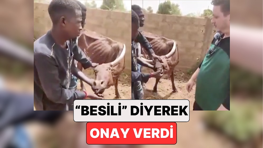 Bir Yardım Derneğinin Nijer'de Vekaleten Kestiği ve "Besili" Diye Anlattığı Kurban Gündem Oldu