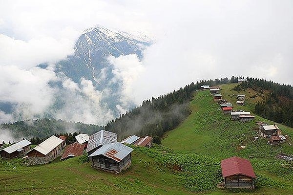 Freshness Brought by Altitude: Fresh Air and Natural Life