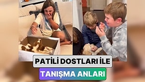 Çocukluk döneminde, birçoğumuzun hayali bir evcil hayvan sahibi olmaktır. Ancak, ailelerin bu konuda ikna edilmesi genellikle zorlu bir süreçtir. Çünkü bir evcil hayvanın bakımı, büyük bir sorumluluk ve özveri gerektirir.