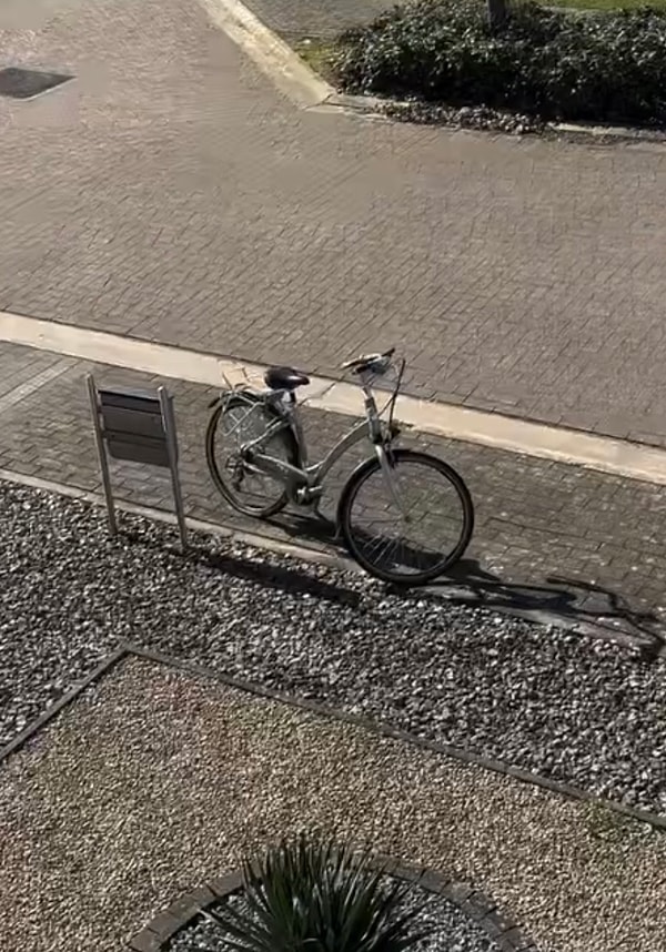 Her yerde benzer hassasiyeti görmek pek de mümkün değil. Görseli