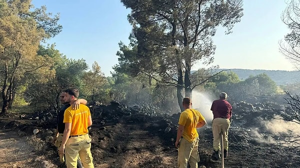 Yaktığı mangal orman yangınına neden oldu. Görseli