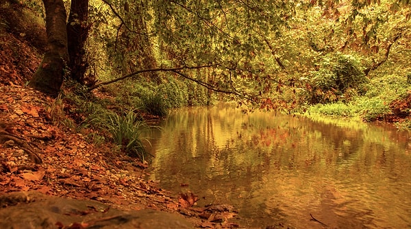 Places to See Around Sardis