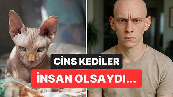 Kapak Görseli