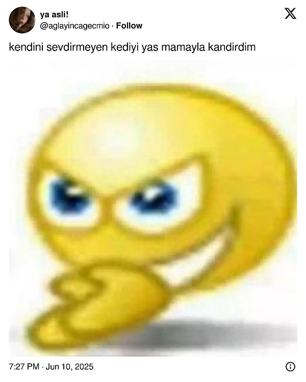 9. Kendini sevdirmeyen kedileri yaş mama ile kandırıp onların duygularıyla oynayan bir X kullanıcısı... Şaka şaka, hepimiz yapıyoruz bunu!