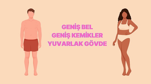 Endomorf Vücut Tipi