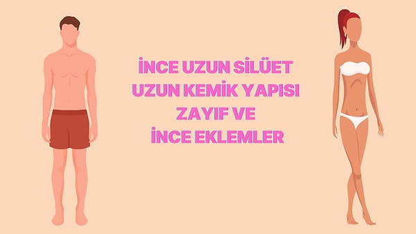 Ektomorf Vücut Tipi