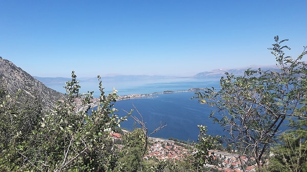 Activities on and Around the Lake