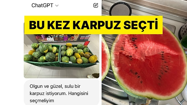 Kapak Görseli