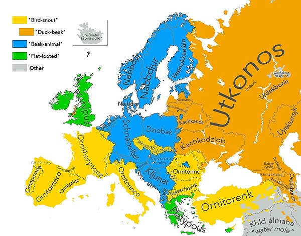 9. Avrupa dillerinde "ornitorenk" kelimesi