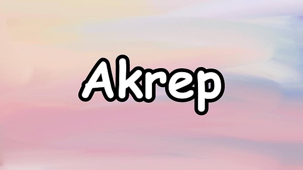 En iyi anlaştığın burç;👇