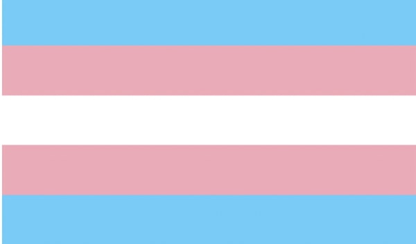 Trans Bayrağı