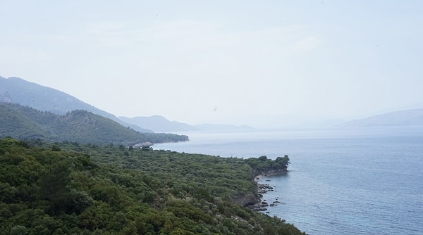 Activities to do in Dilek Peninsula
