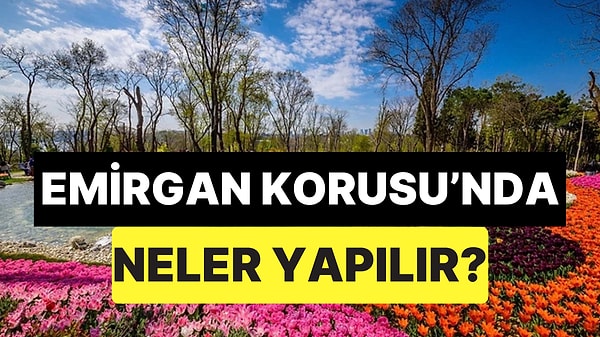 Kapak Görseli