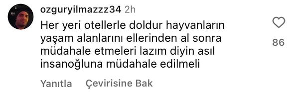 👇
