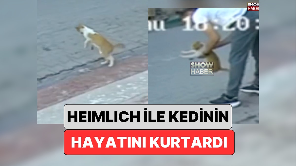 Samsun&apos;da Bir Vatandaş Boğulmak Üzere Olan Kedinin Hayatını Heimlich Manevrası ile Kurtardı