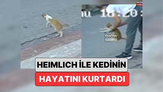 Samsun'da Bir Vatandaş Boğulmak Üzere Olan Kedinin Hayatını Heimlich Manevrası ile Kurtardı