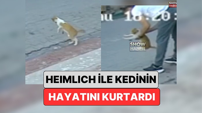 Samsun'da Bir Vatandaş Boğulmak Üzere Olan Kedinin Hayatını Heimlich Manevrası ile Kurtardı