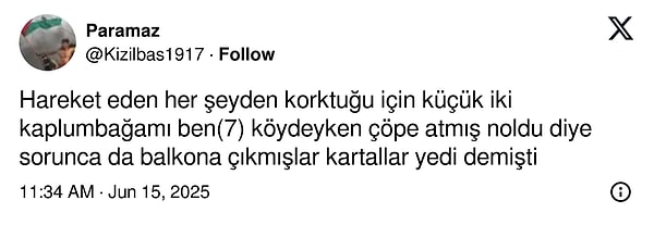Şimdi yanıtlara bakalım...